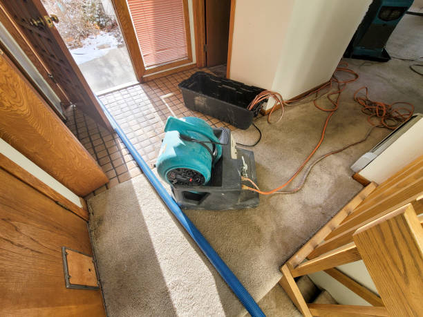Best Water damage restoration insurance claims  in Wrangell, AK
