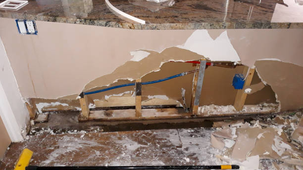Best Basement water damage restoration  in Wrangell, AK