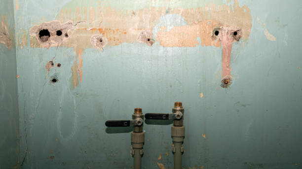 Best Professional water damage repair  in Wrangell, AK
