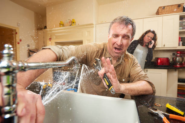 Best Flood damage cleanup  in Wrangell, AK